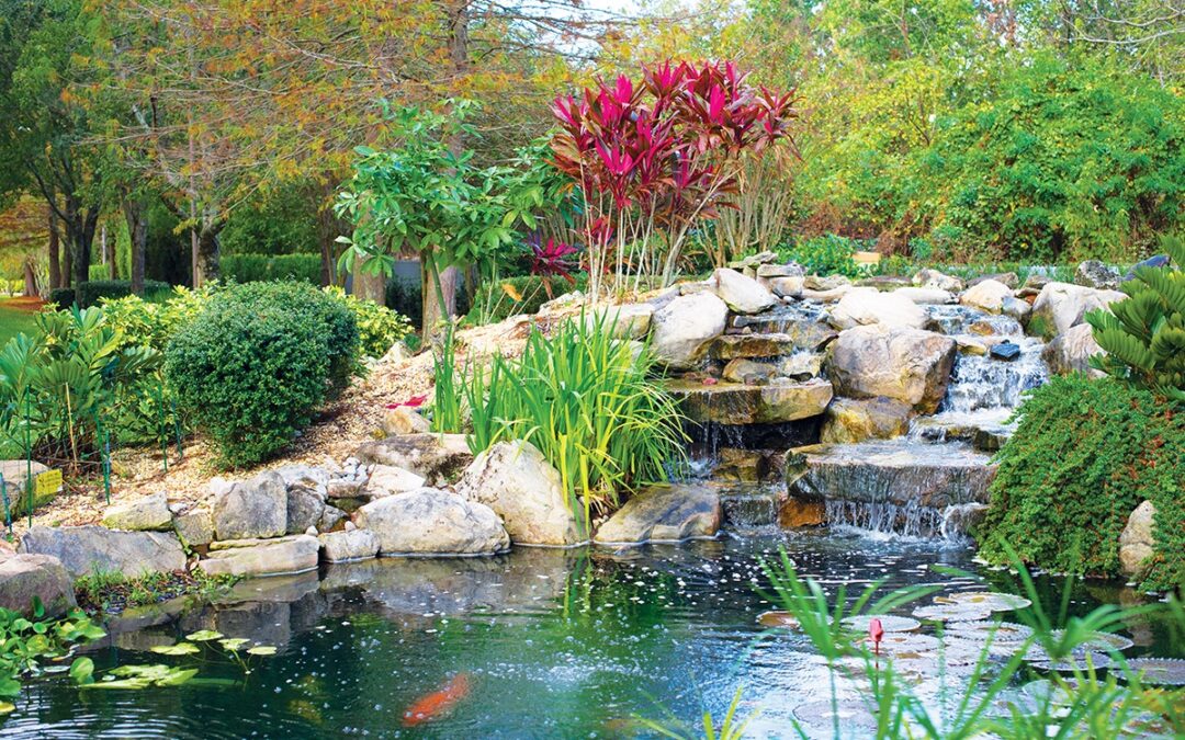 Serene water feature on The Mayflower at Winter's Park's picturesque campus.